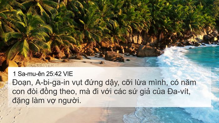 1 Sa-mu-ên 25:42 VIE Bible Verse Image