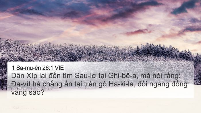 1 Sa-mu-ên 26:1 VIE Bible Verse Image
