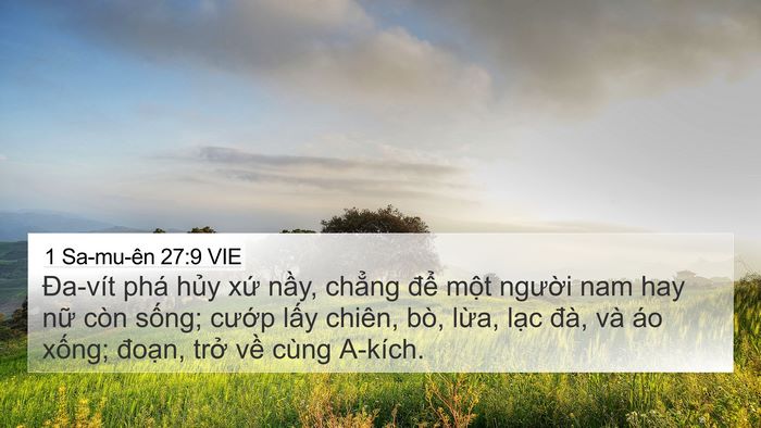1 Sa-mu-ên 27:9 VIE Bible Verse Image