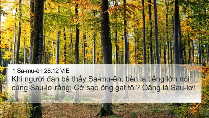 1 Sa-mu-ên 28:12 VIE Bible Verse Image