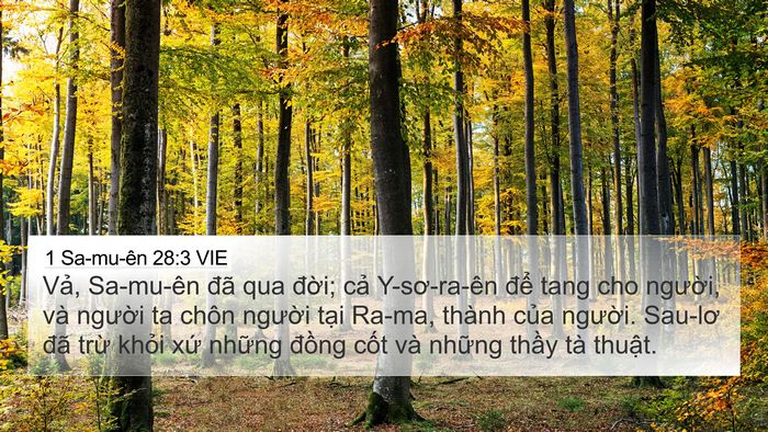 1 Sa-mu-ên 28:3 VIE Bible Verse Image