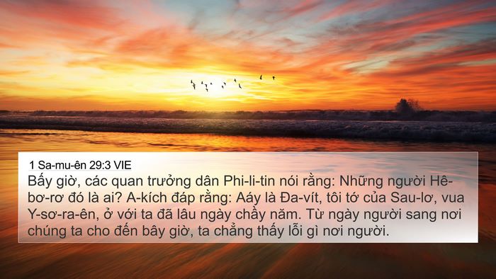 1 Sa-mu-ên 29:3 VIE Bible Verse Image