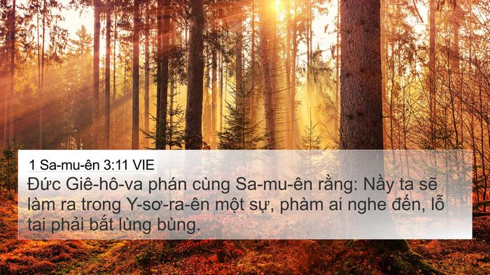 1 Sa-mu-ên 3:11 VIE 4K Wallpaper - Đức Giê-hô-va phán cùng Sa-mu-ên rằng: - 4K Wallpaper Bible Verse