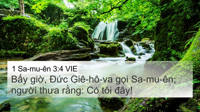 1 Sa-mu-ên 3:4 VIE 4K Wallpaper - Bấy giờ, Đức Giê-hô-va gọi Sa-mu-ên; - 4K Wallpaper Bible Verse