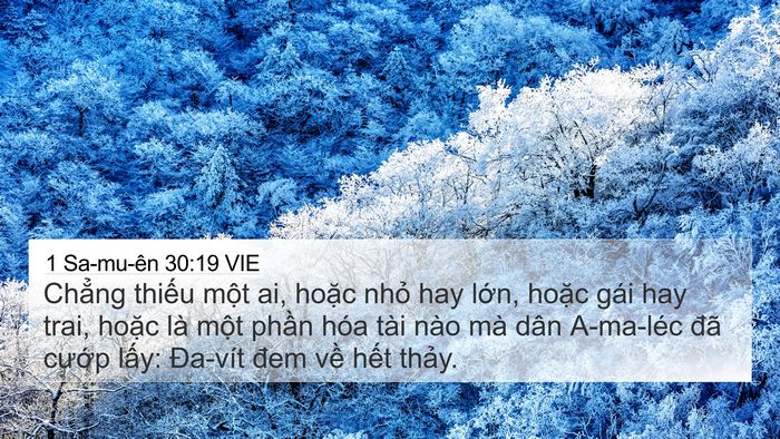 1 Sa-mu-ên 30:19 VIE Bible Verse Image