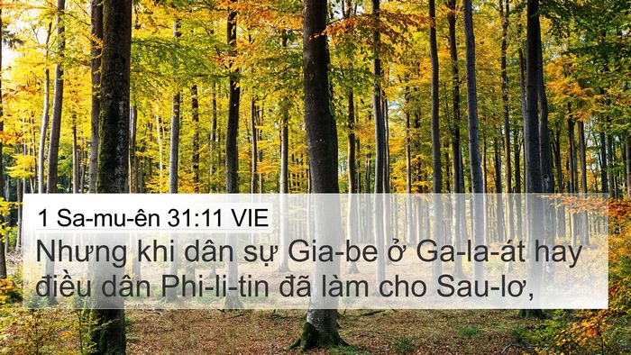 1 Sa-mu-ên 31:11 VIE Bible Verse Image
