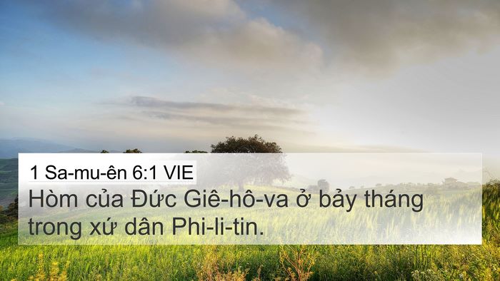 1 Sa-mu-ên 6:1 VIE 4K Wallpaper - Hòm của Đức Giê-hô-va ở bảy tháng - 4K Wallpaper Bible Verse