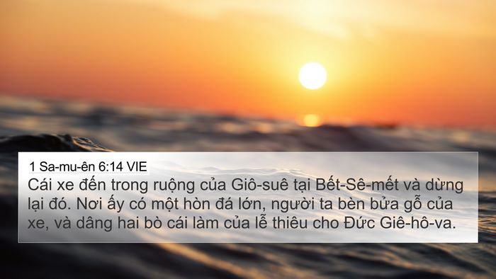 1 Sa-mu-ên 6:14 VIE Bible Verse Image