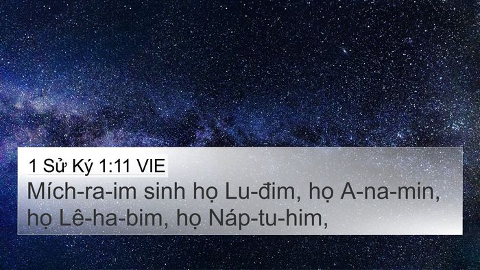 1 Sử Ký 1:11 VIE Bible Verse Image