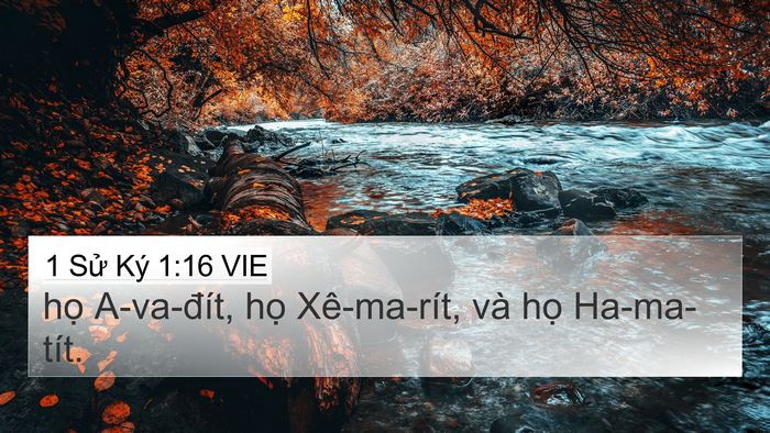 1 Sử Ký 1:16 VIE 4K Wallpaper - họ A-va-đít, họ Xê-ma-rít, và họ - 4K Wallpaper Bible Verse