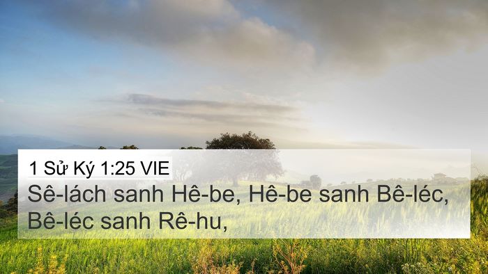 1 Sử Ký 1:25 VIE 4K Wallpaper - Sê-lách sanh Hê-be, Hê-be sanh Bê-léc, - 4K Wallpaper Bible Verse