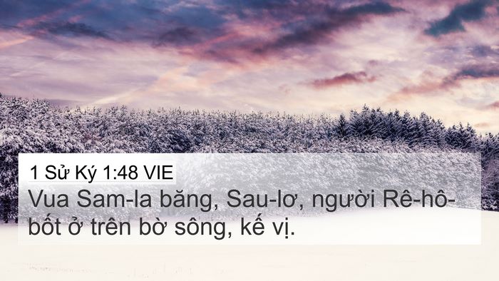 1 Sử Ký 1:48 VIE Bible Verse Image