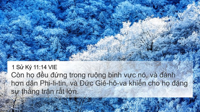 1 Sử Ký 11:14 VIE Bible Verse Image