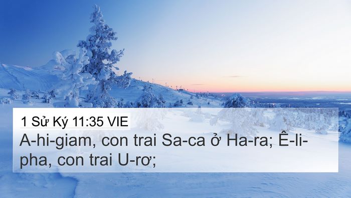1 Sử Ký 11:35 VIE Bible Verse Image