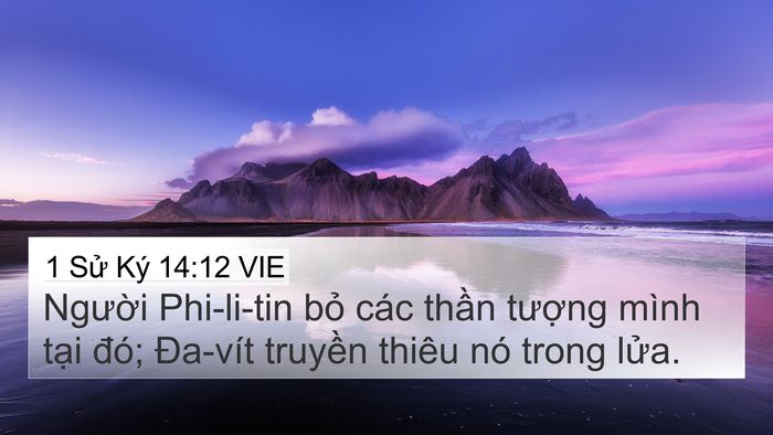 1 Sử Ký 14:12 VIE Bible Verse Image