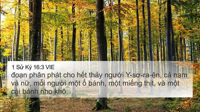 1 Sử Ký 16:3 VIE Bible Verse Image