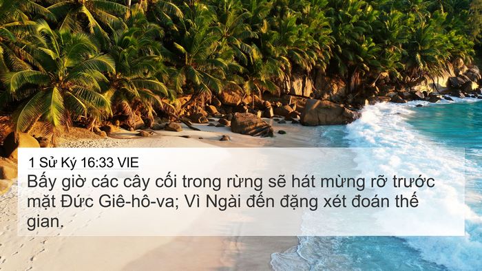 1 Sử Ký 16:33 VIE 4K Wallpaper - Bấy giờ các cây cối trong rừng sẽ - 4K Wallpaper Bible Verse