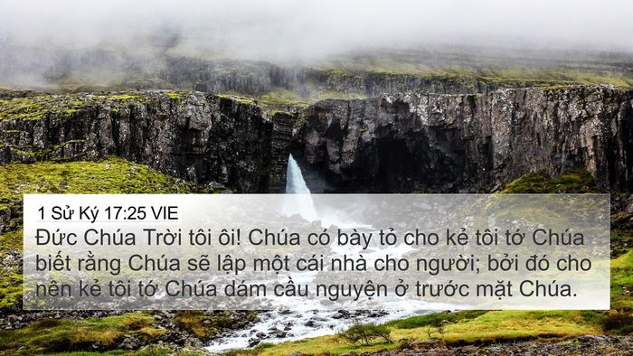 1 Sử Ký 17:25 VIE Bible Verse Image