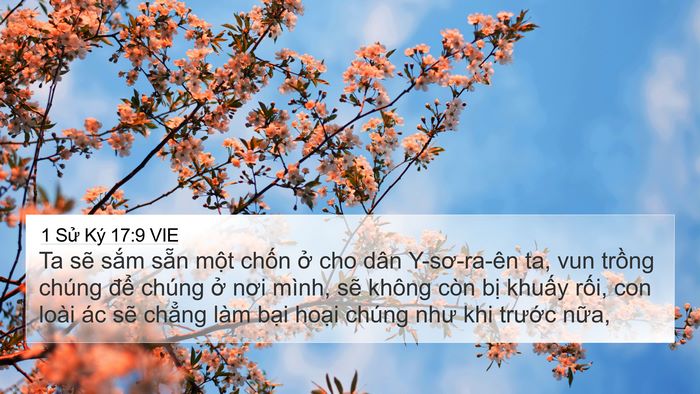 1 Sử Ký 17:9 VIE Bible Verse Image
