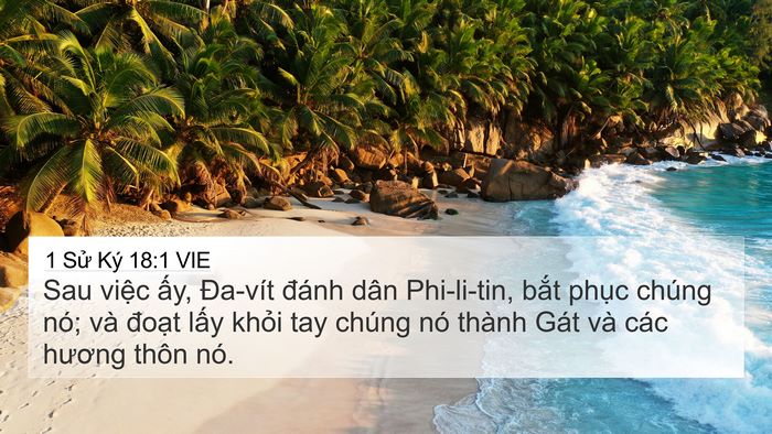 1 Sử Ký 18:1 VIE Bible Verse Image