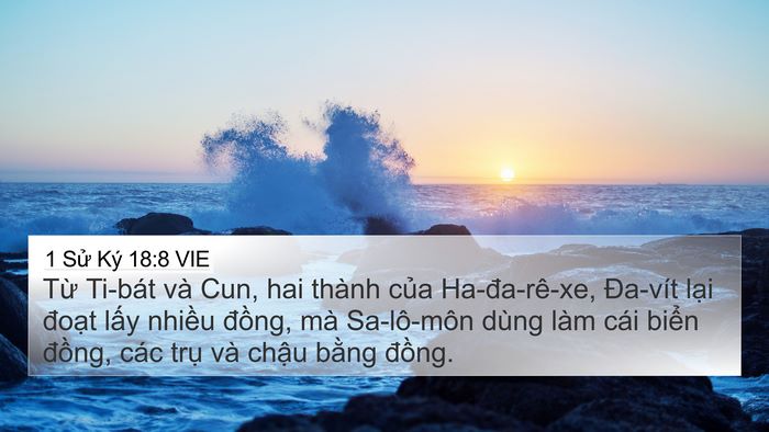 1 Sử Ký 18:8 VIE Bible Verse Image