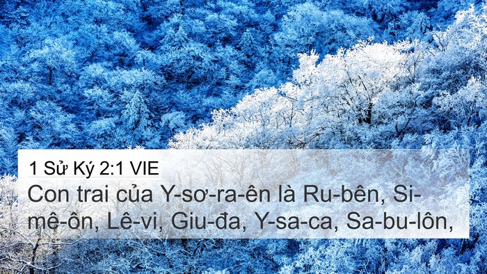 1 Sử Ký 2:1 VIE Bible Verse Image