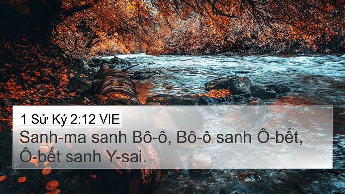 1 Sử Ký 2:12 VIE 4K Wallpaper - Sanh-ma sanh Bô-ô, Bô-ô sanh Ô-bết, - 4K Wallpaper Bible Verse