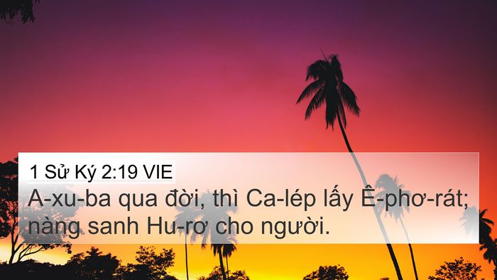 1 Sử Ký 2:19 VIE Bible Verse Image