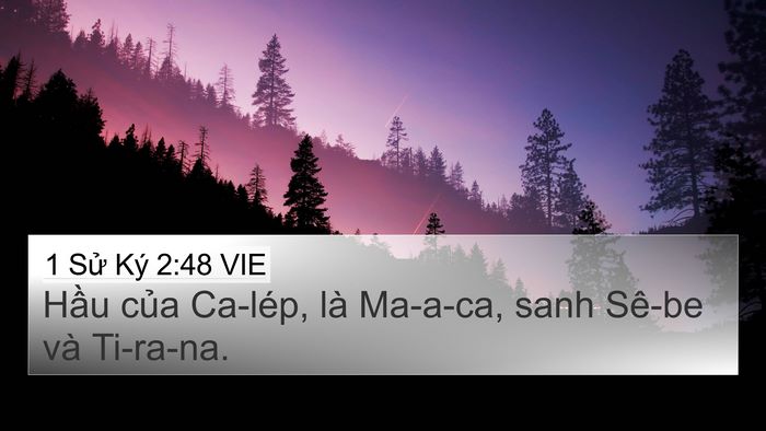 1 Sử Ký 2:48 VIE 4K Wallpaper - Hầu của Ca-lép, là Ma-a-ca, sanh Sê-be và - 4K Wallpaper Bible Verse