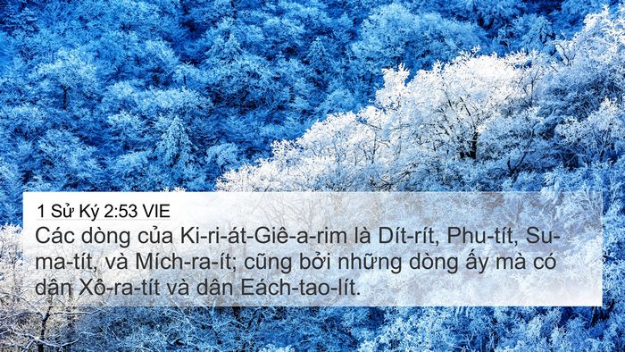 1 Sử Ký 2:53 VIE Bible Verse Image