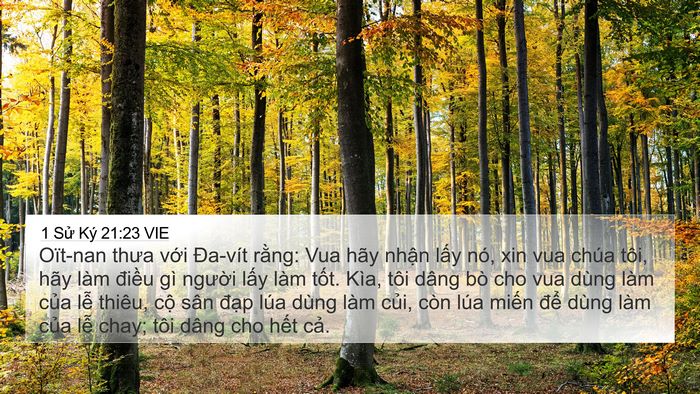 1 Sử Ký 21:23 VIE 4K Wallpaper - Oït-nan thưa với Đa-vít rằng: Vua hãy - 4K Wallpaper Bible Verse