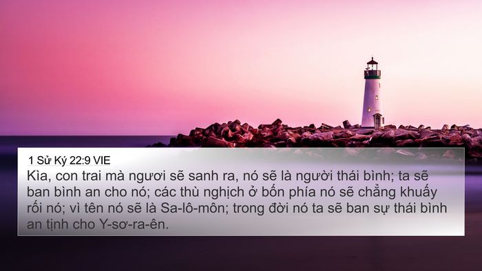 1 Sử Ký 22:9 VIE Bible Verse Image