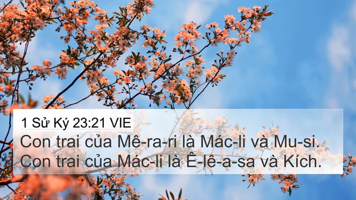 1 Sử Ký 23:21 VIE Bible Verse Image