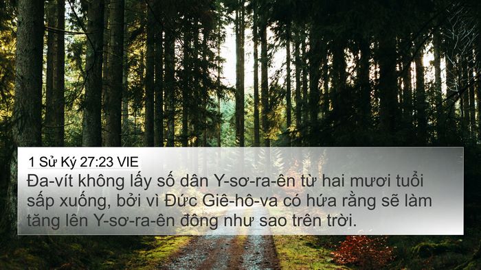 1 Sử Ký 27:23 VIE Bible Verse Image