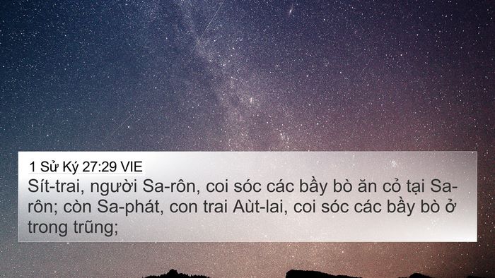 1 Sử Ký 27:29 VIE Bible Verse Image