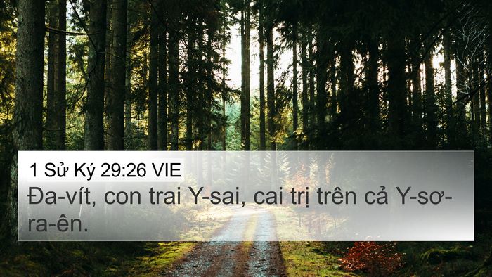 1 Sử Ký 29:26 VIE Bible Verse Image
