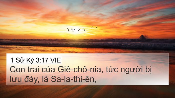 1 Sử Ký 3:17 VIE Bible Verse Image