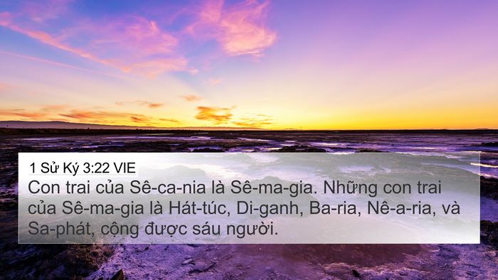 1 Sử Ký 3:22 VIE 4K Wallpaper - Con trai của Sê-ca-nia là Sê-ma-gia. Những - 4K Wallpaper Bible Verse