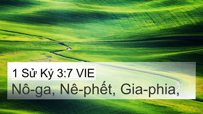 1 Sử Ký 3:7 VIE 4K Wallpaper - Nô-ga, Nê-phết, - 4K Wallpaper Bible Verse