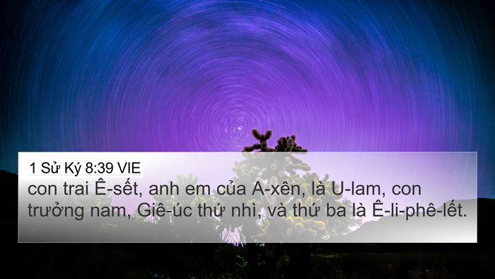 1 Sử Ký 8:39 VIE 4K Wallpaper - con trai Ê-sết, anh em của A-xên, là - 4K Wallpaper Bible Verse
