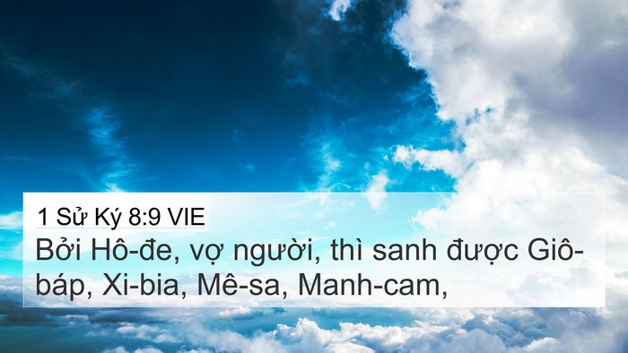 1 Sử Ký 8:9 VIE 4K Wallpaper - Bởi Hô-đe, vợ người, thì sanh được - 4K Wallpaper Bible Verse