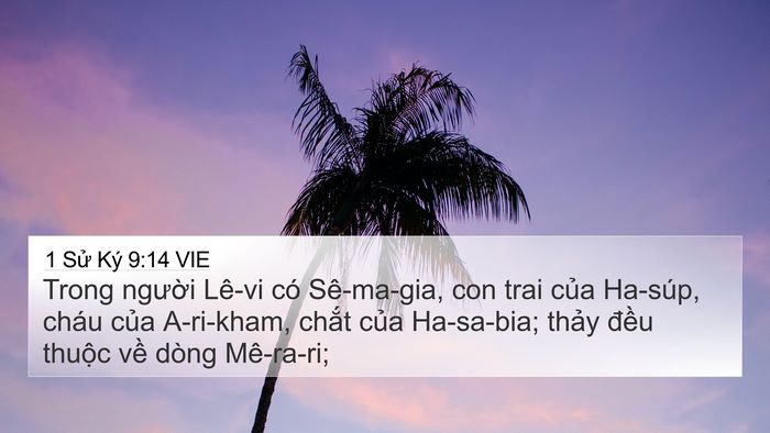 1 Sử Ký 9:14 VIE Bible Verse Image