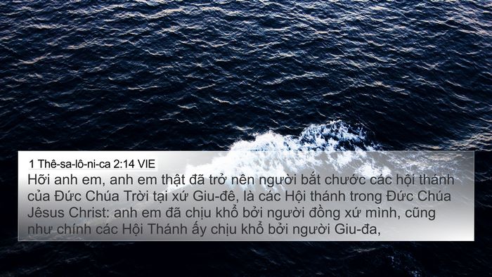 1 Thê-sa-lô-ni-ca 2:14 VIE Bible Verse Image