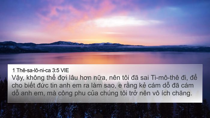 1 Thê-sa-lô-ni-ca 3:5 VIE Bible Verse Image