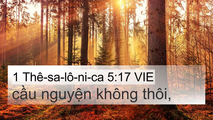 1 Thê-sa-lô-ni-ca 5:17 VIE Bible Verse Image
