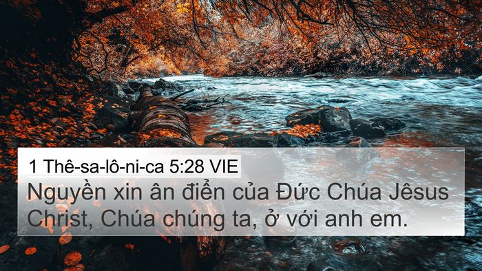 1 Thê-sa-lô-ni-ca 5:28 VIE 4K Wallpaper - Nguyền xin ân điển của Đức Chúa - 4K Wallpaper Bible Verse