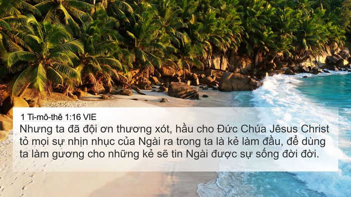 1 Ti-mô-thê 1:16 VIE Bible Verse Image