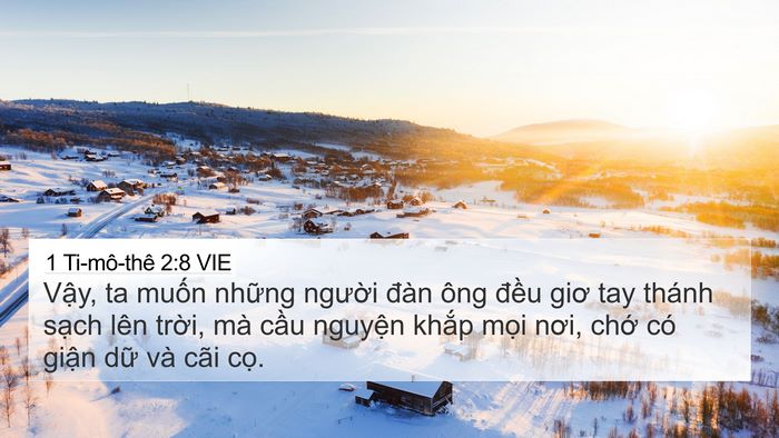 1 Ti-mô-thê 2:8 VIE Bible Verse Image