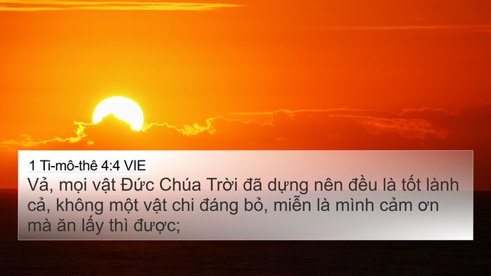 1 Ti-mô-thê 4:4 VIE Bible Verse Image