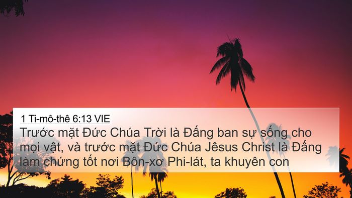 1 Ti-mô-thê 6:13 VIE Bible Verse Image